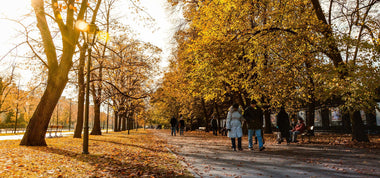 Natural Ways to Maintain Good Health This Fall