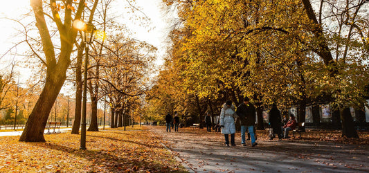 Natural Ways to Maintain Good Health This Fall