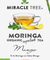 MIRACLE TREE: ORGANIC MORINGA SUPERFOOD MANGO TEA, 25 BG - RubertOrganics