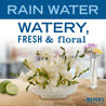 Mrs. Meyer's Clean Day Hand Soap, Rain Water Scent, 12.5 fl. oz - Pack of 3