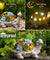 Nacome Solar Garden Outdoor Statues Turtle with Succulent and LED Lights