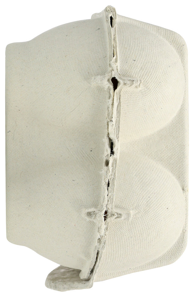 Vital Farms: Organic Pasture Raised Large Egg, 0.5 Dz