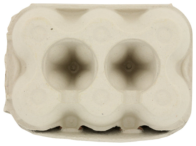 Vital Farms: Organic Pasture Raised Large Egg, 0.5 Dz