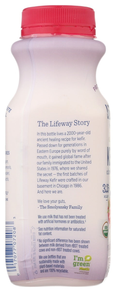 Lifeway: Kefir Whole Milk Organic Mixed Berry, 8 Oz