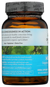 Organic India: Memory Gotu Kola And Bacopa Supplement, 90 Cp