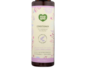 Ecolove Conditioner - Purple Fruit Conditioner For Colored And Very Dry Hair - Case Of 1 - 17.6 Fl Oz. - RubertOrganics