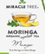MIRACLE TREE: ORGANIC MORINGA SUPERFOOD MANGO TEA, 25 BG - RubertOrganics