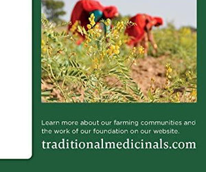 Fennel tea | Traditional Medicinals(16 tea bags/1box) - RubertOrganics