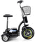 Electric Trike 48v 500w - RubertOrganics