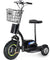 Electric Trike 48v 500w - RubertOrganics