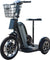 Electric Trike 48v 800w - RubertOrganics