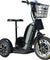 Electric Trike 48v 800w - RubertOrganics