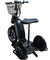 Electric Trike 48v 800w - RubertOrganics