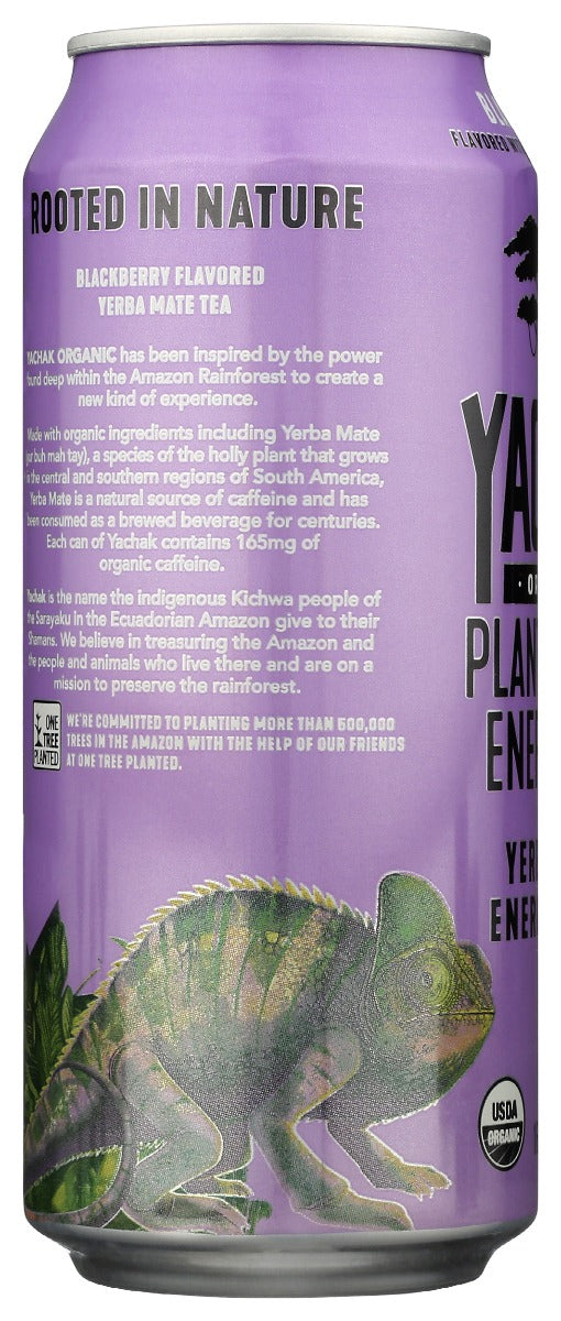 Yachak Organic: Organic Blackberry Tea, 16 Fo