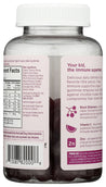 Hyland: Kids Organic Elderberry Plus Gummies, 48 Pc