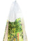 Envirokidz Organic: Cereal Gorilla Munch Organic, 22.9 Oz