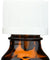 Aura Cacia: 100% Pure Essential Oil Carrot Seed, 0.5 Oz - RubertOrganics