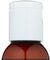 Aura Cacia: Natural Skin Care Oil With Vitamin E Nurturing Sweet Almond, 4 Oz - RubertOrganics