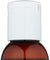 Aura Cacia: Natural Skin Care Oil With Vitamin E Nurturing Sweet Almond, 4 Oz - RubertOrganics