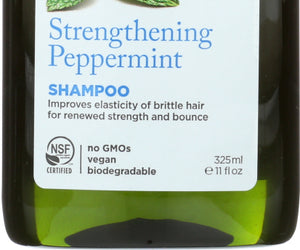 Avalon Organics: Shampoo Strengthening Peppermint, 11 Oz