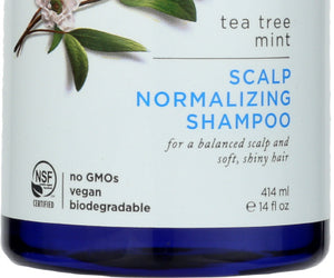 Avalon Organics: Scalp Normalizing Shampoo Tea Tree Mint Therapy, 14 Oz