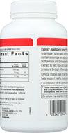 Kyolic Aged Garlic Extract: Formula 109 Blood Pressure Health, 160 Cp - RubertOrganics