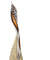 Cocomels: Cocomels Vanilla Pouch Organic, 3.5 Oz