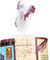 Lundberg: Wild Organic Rice Cakes Lightly Salted, 8.5 Oz