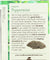 Traditional Medicinals: Organic Peppermint Herbal Tea 16 Tea Bags, 0.85 Oz