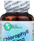 World Organic: Chlorophyll 60mg, 100 Capsules