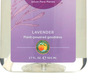Earth Friendly: Hand Soap Lavender, 17 Oz - RubertOrganics