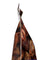Made In Nature: Organic Dried Smyrna Figs, 20 Oz
