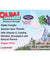 Olbas - Lozenges Sugar-free Black Currant - 24 Lozenges - Case Of 12 - RubertOrganics