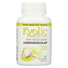 Kyolic Aged Garlic Extract Vegetarian Cardiovascular Formula 100 - 100 Vegetarian Capsules - RubertOrganics