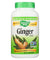 Nature's Way - Ginger Root - 240 Veg. Capsules - RubertOrganics