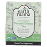 Earth Mama - Organic Tea - Stress Less - 16 Count - RubertOrganics