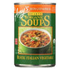 Amy's Soup Organic Hearty Rustic Italian Vegetable - Case Of 12 - 14 Oz - RubertOrganics